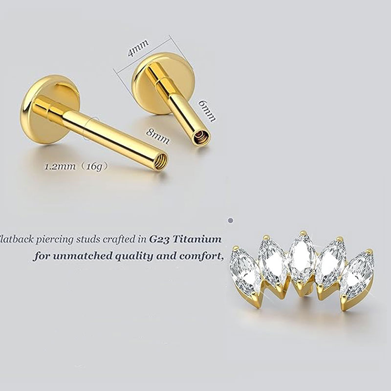2개 F136 G23 티타늄 연골 귀걸이 내부 나사형  - Body Jewelry Threadless 리뷰 및 가격