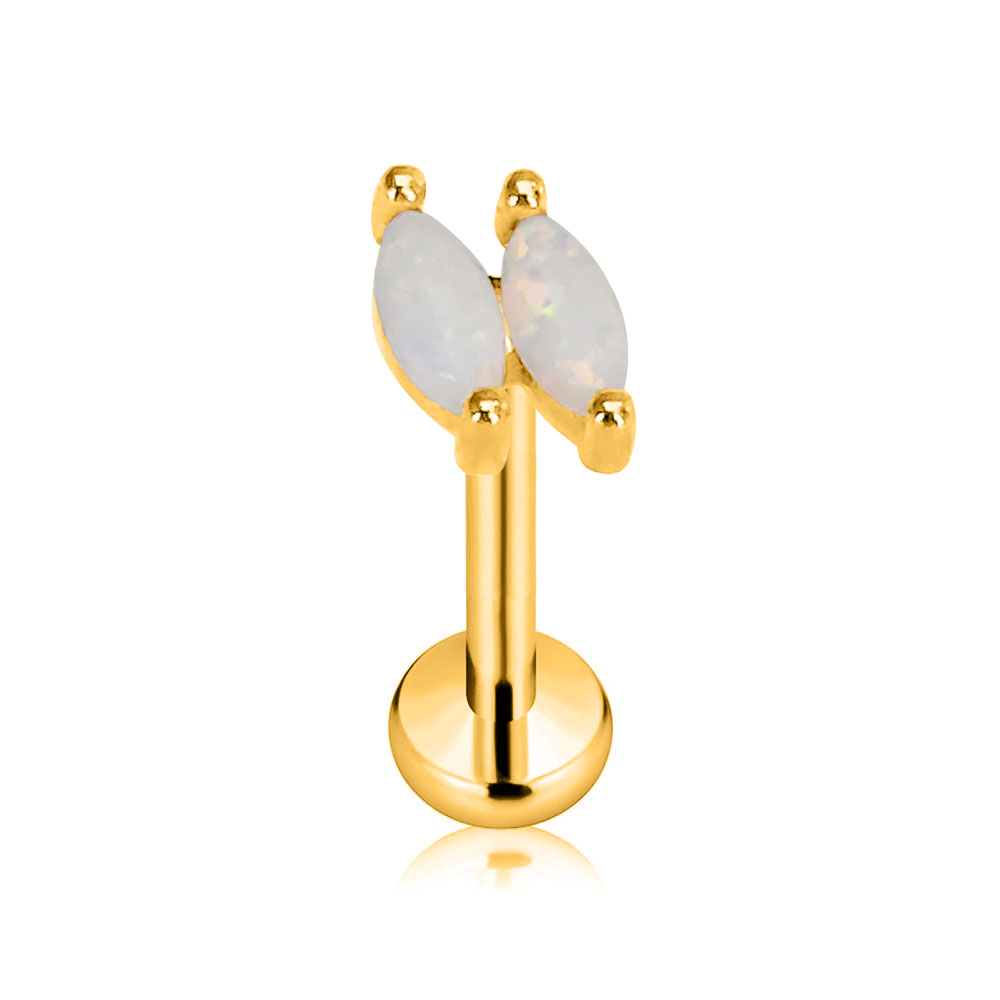 ASTM F136 G23 티타늄 플라워 스타 버터플라이 - Body Jewelry Threadless 리뷰 및 가격