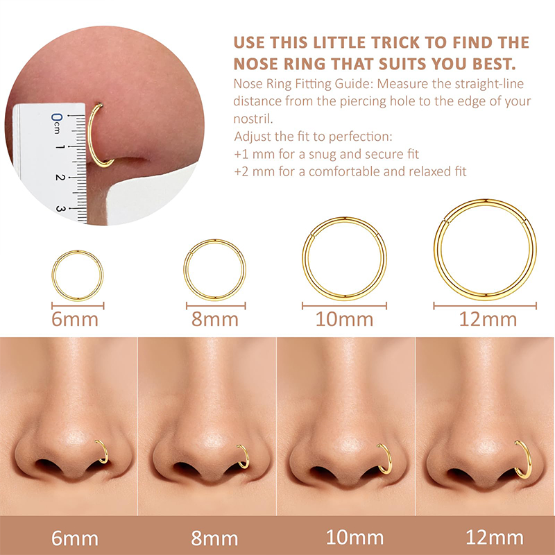 16G 316L 수술용 스틸 힌지 클리커 코/격막 링, - Body Jewelry Lip Ring 리뷰 및 가격