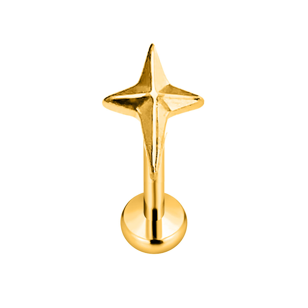 ASTM F136 G23 티타늄 스타 크로스 스레드리스 - Body Jewelry Threadless 리뷰 및 가격