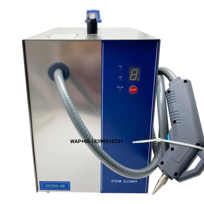 DS300-4B 고압 스팀 클리너, 4KG 스팀 압력, - Body Jewelry 리뷰 및 가격