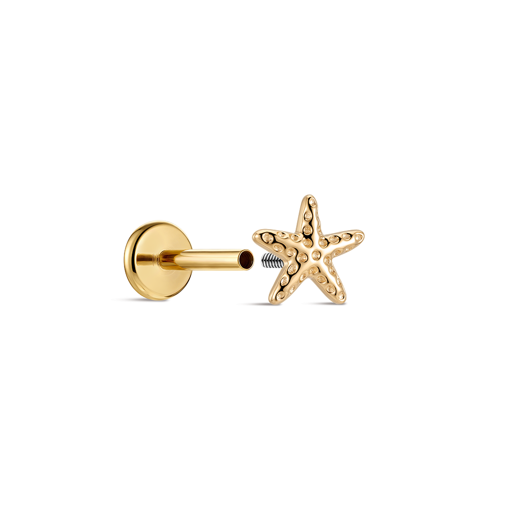 캐너 14K 순금 불가사리 귀 피어싱 스터드 연골 헬릭 - Tragus Flat Back 리뷰 및 가격